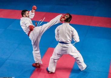 定制化马术训练方案